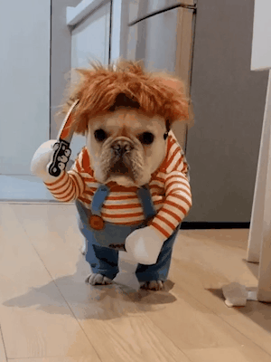 Pet Dog Cosplay Killer Costume