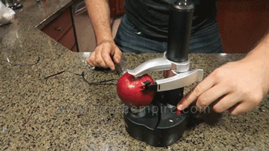 Stainless Steel Electric Fruit Peeler – With The Wave