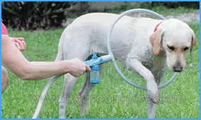 Woof Washer 360 | Pamper pets, Dog wash, Cute baby animals