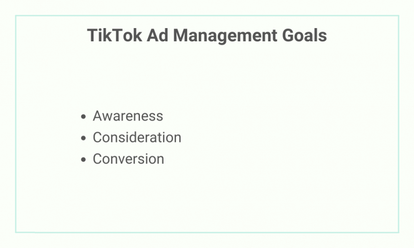 Ads-manager-goals-TikTok