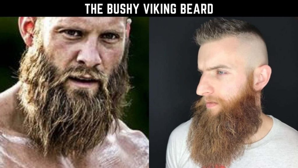 How To Grow A Viking Beard | Viking Zon